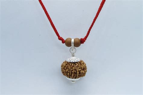 OpenAI output > seo_title — BrahmatellsStore