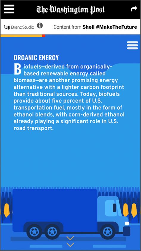 Shell API 的图像结果