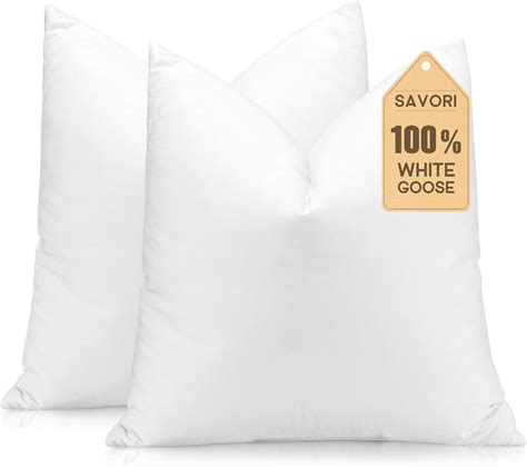Amazon.com: basic home 24x24 Euro Throw Pillow Inserts-Down Feather ...