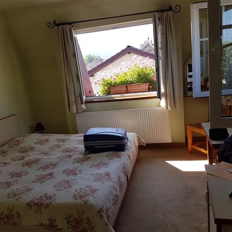 PENSIUNEA LUIZA (Brasov) - Hotel Reviews, Photos, Rate Comparison ...