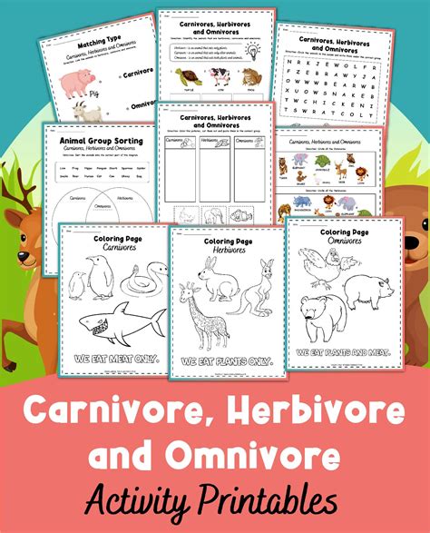 Learn to classify animals herbivore carnivore or omnivore – Artofit