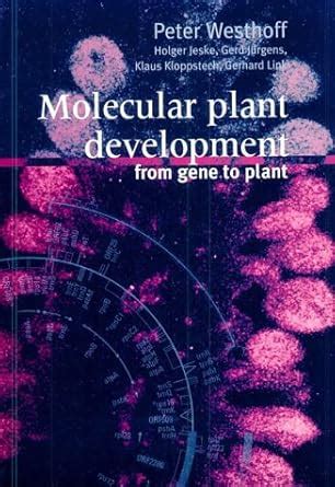 Buy Molecular Plant Development: From Gene to Plant (Electronic ...