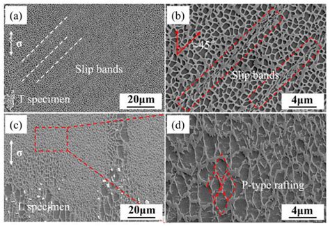 Creep Mechanism and Microstructure Evolution of a Directionally ...