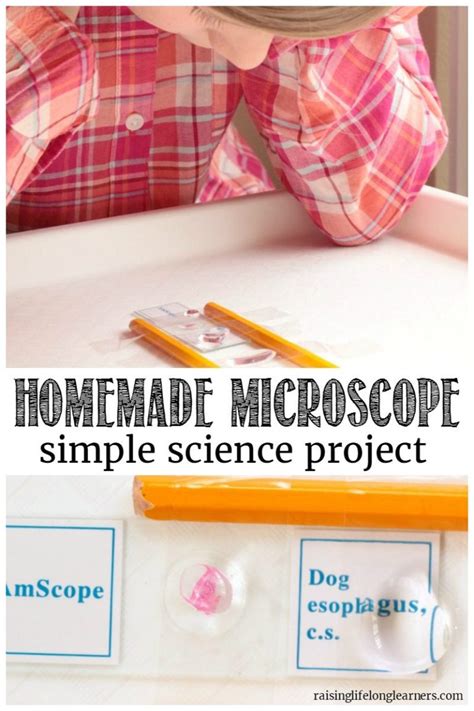 Image result for Easy Microscope Projects