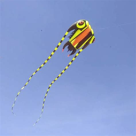 Bengaluru Kite Festival 2020 | LBB, Bangalore