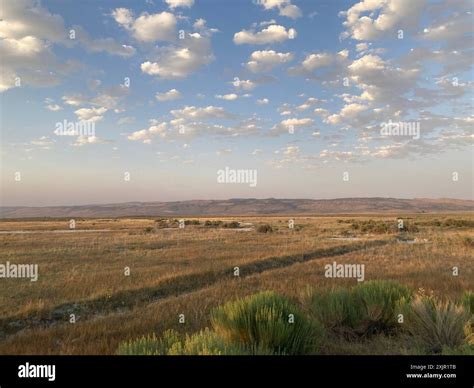 View across the plain from Crystal Crane Hot Springs near Burns, Oregon ...