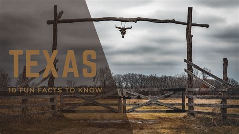 Ten Fun Facts About Texas – Learn Bright