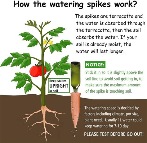 Buy Plant Watering Devices 6 Pack Terracotta Vacation Plant Waterer ...