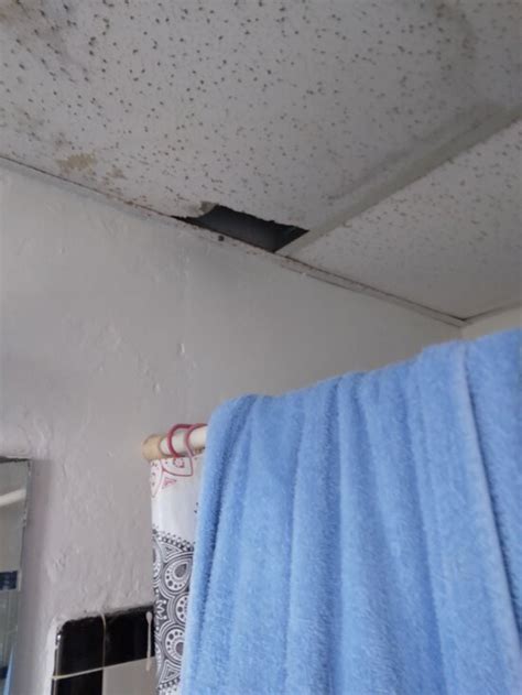 SANDS HOTEL & RESORT (Singer Island) - Hotel Reviews & Photos - Tripadvisor