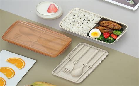 Buy Shivaaro Lunch Box 2 Compartment Lunch Box with Water Bottle and ...