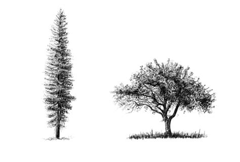 Image result for Draw Trees Tutorial