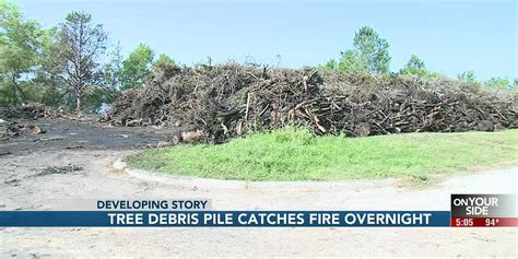 Levi Carter Park tree debris dumpsite remains open after brush fire