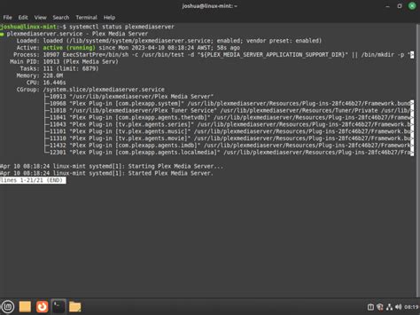 Image result for Mint Linux Plex Server