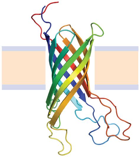 Biomolecules | Special Issue : Protein Folding and Misfolding