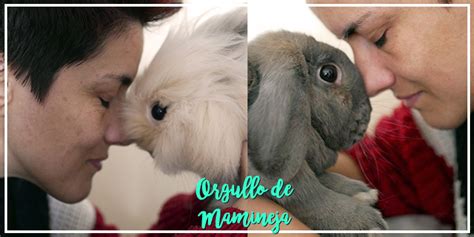 ¿Quiénes somos? Conócenos mejor - Viviendo con un conejo