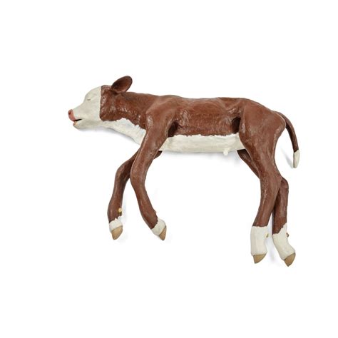 Hereford Dystocia Calf Model - Bovine Simulators - 3B Scientific