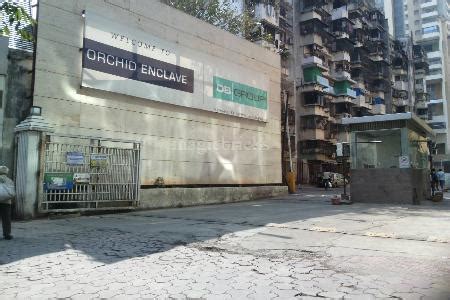 DB Orchid Enclave in Mumbai Central, Mumbai: Price, Brochure, Floor ...