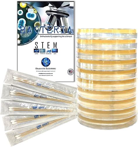 Diamante Scientific Bacteria Growing Kit with Agar Plates & Swabs for ...