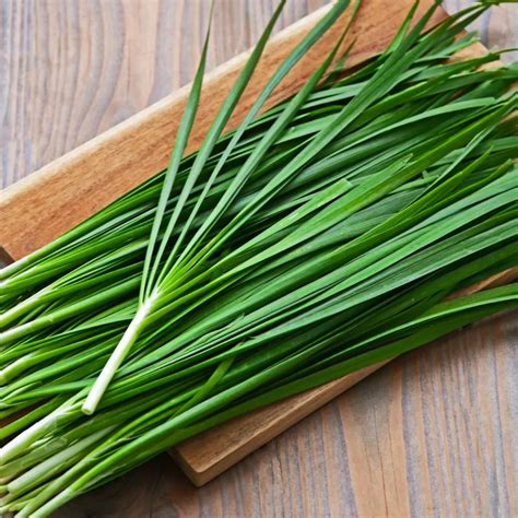 Garlic Chives (Allium Tuberosum) - Plant – Lalit Enterprise