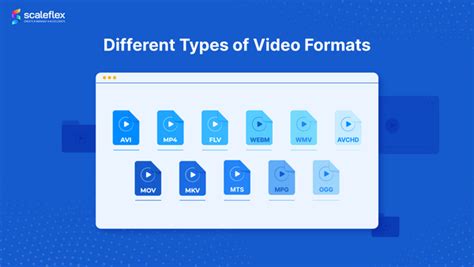 Image result for Different Types of Video Formats