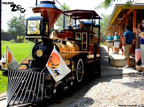 Image result for Toledo Zoo Python