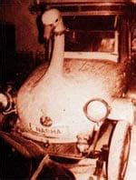 This swan rolls out - India Today