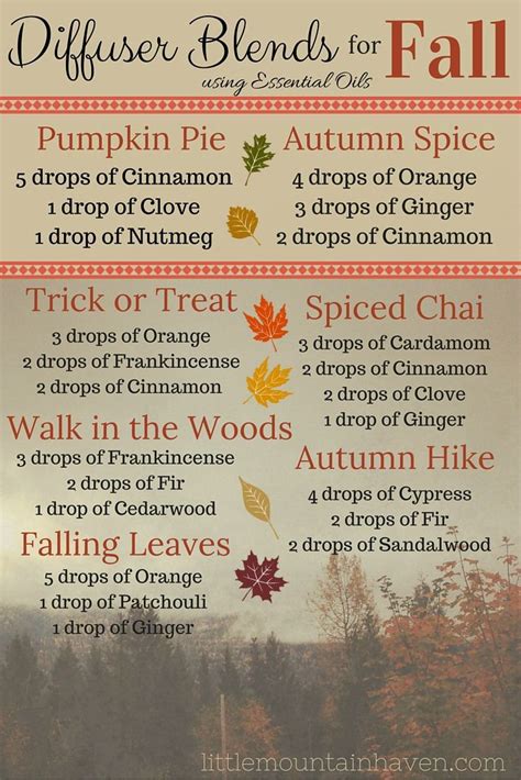 littlemountainhaven.com | Essential oil diffuser blends, Essential oils ...