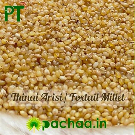 Buy Foxtail Millet Rice (Thinai Arisi Kangni Korra Navane Thina) 500gms ...