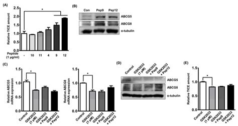 Hypolipidemic Roles of Casein-Derived Peptides by Regulation of Trans ...