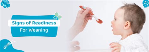 Signs Your Baby is Ready for Weaning