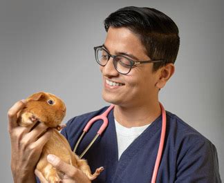 Best IGCSE and Cambridge School in Mumbai | GICLM