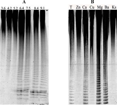 Marine Drugs | July 2013 - Browse Articles