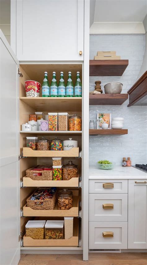 Small Kitchen Wall Pantry Ideas 的图像结果