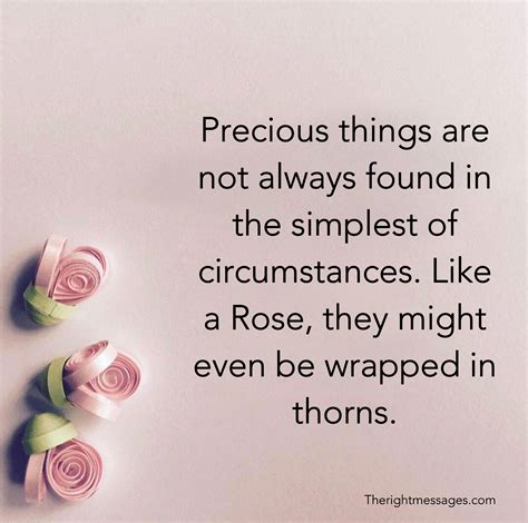 100 Roses Quotes