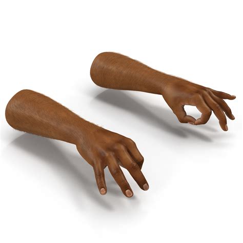 3D model African Man Hands 3 with Fur Pose 5 | 3D Molier International