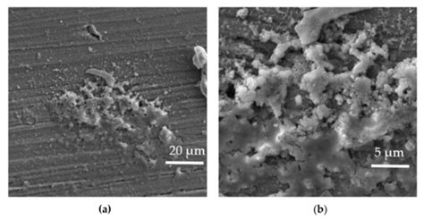 Coatings | Special Issue : Quality Tools in the Design of Coatings