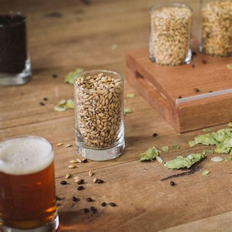 Gluten Free Beer?! – Burleigh Brewing Company