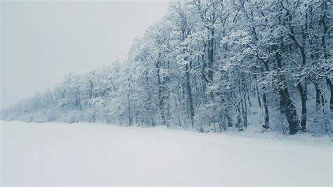 When was the coldest day ever recorded on Earth?
