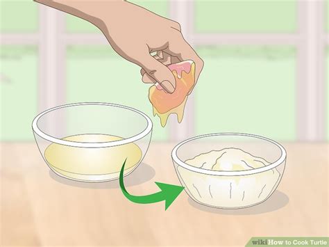 Image result for Cook Turtle