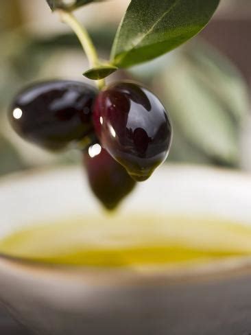 橄榄油怎么吃？除了用来凉拌外，还有哪些食用方法？__财经头条