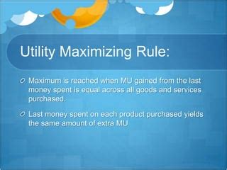 Utility-Maximizing Formula 的图像结果
