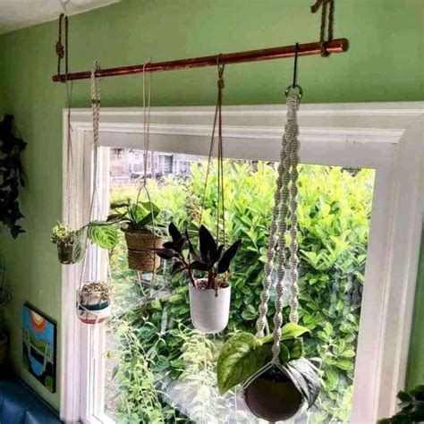 Favorite Floor To Ceiling Plant Pole Indoor Hanging Stand