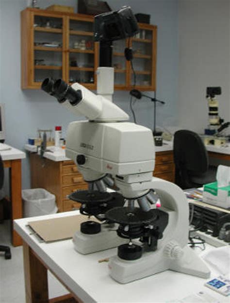 Image result for Comparison Microscope