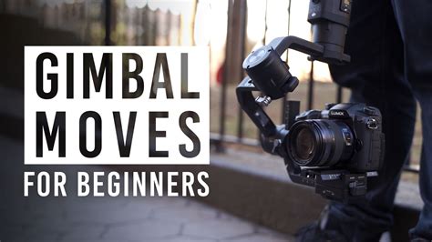 Gimbal Tutorial 的图像结果