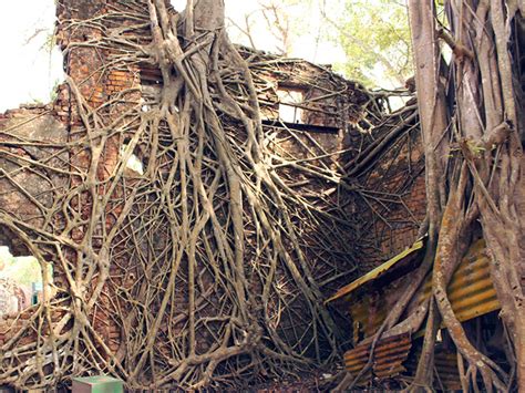 D'source Design Gallery on Ross Island - One of the Andaman Islands | D ...