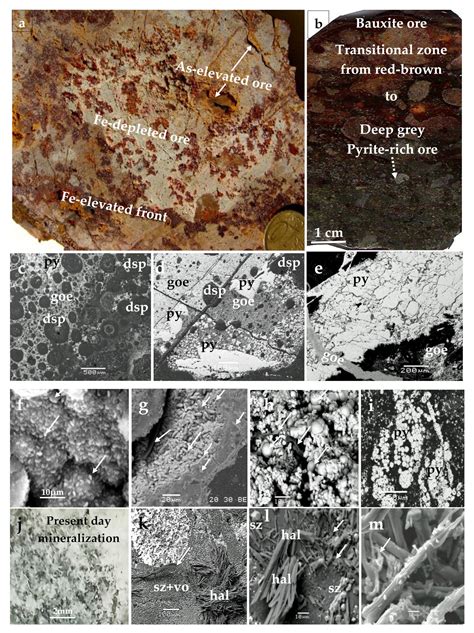 Biogeochemical Redox Processes Controlling the Element Cycling ...