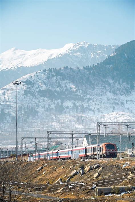 Demu Local 的图像结果