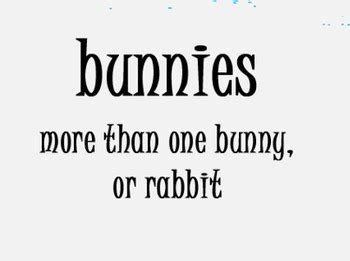First Grade HM Vocabulary Cards The Bunnies and The Fox by Fun in First ...