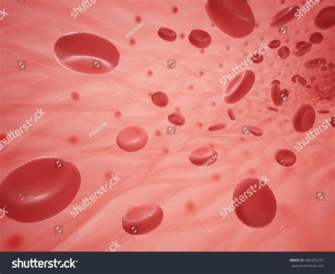 Image result for Empty Body Shell