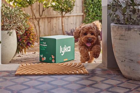35 Facts About Lyka Pet Food - Facts.net